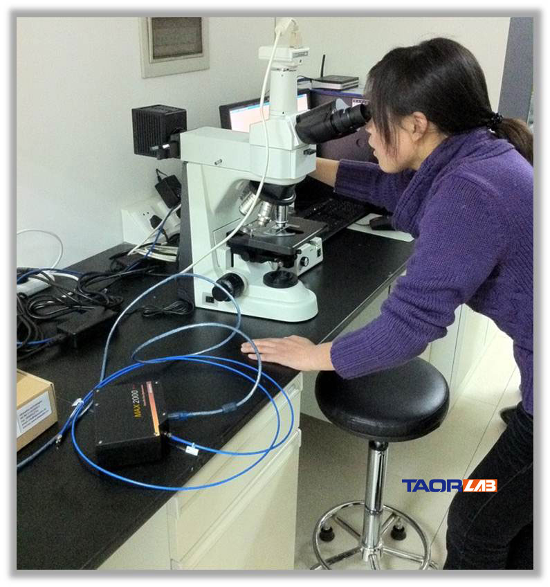 fiber spectrometer